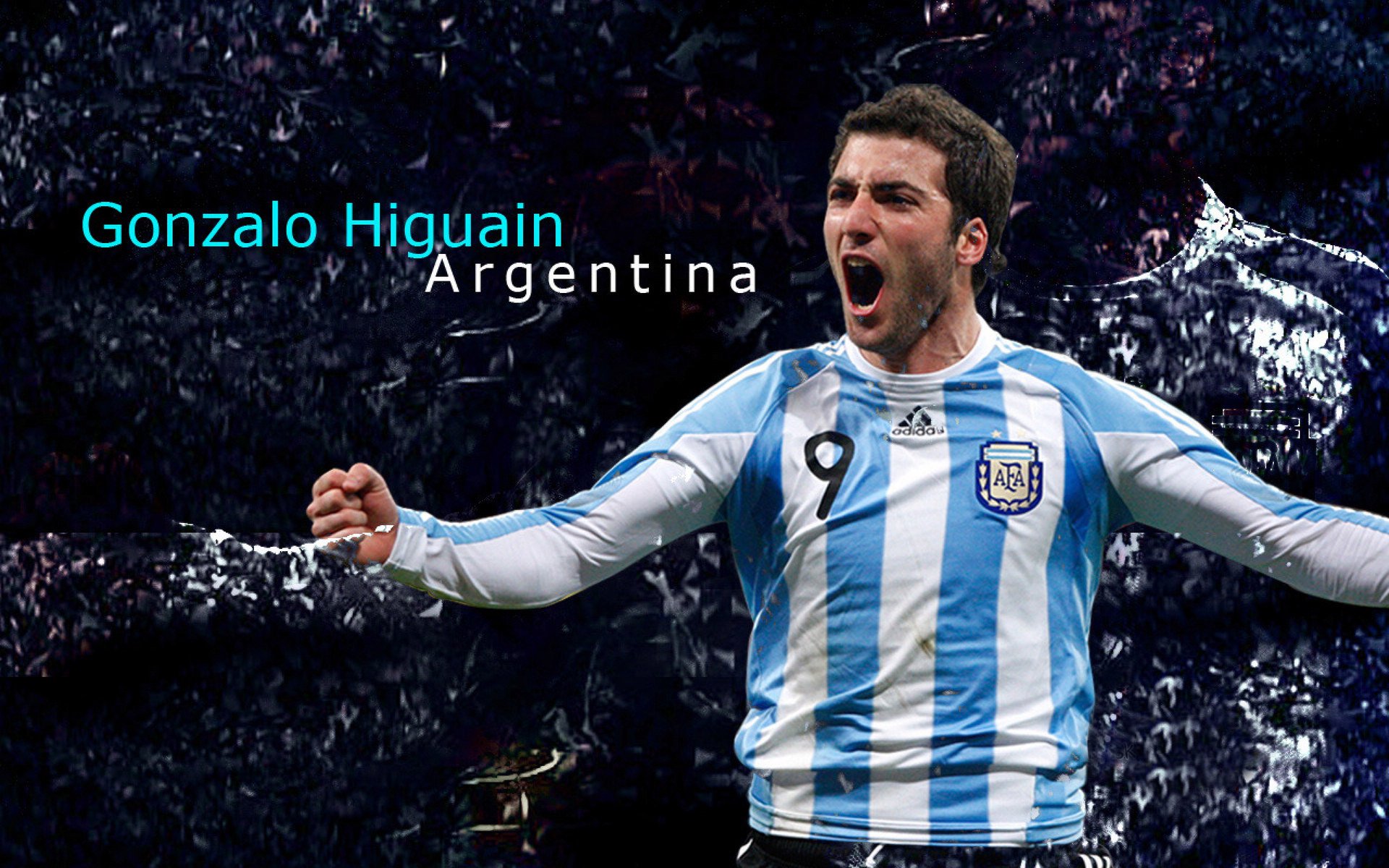 “雪原冠军：白色王者的荣耀战役”，白色雪原是什么短语类型